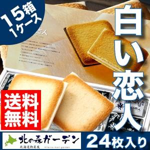 イシヤチョコレートファクトリー 【送料無料】白い恋人