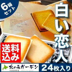 ＜送料込＞ISHIYA（石屋製菓）白い恋人（ホワイト＆ブラック）【24枚】６セット 常温発送 北海道...