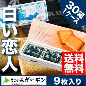 【送料無料】白い恋人 石屋製菓 9枚入 30箱1入ケース 北海道 お土産 ギフト 人気｜kitanomori