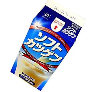 ソフトカツゲン  300ｍｌ×10本セット 　《H》発送まで１週間ほどご予定願います。 北海道お土産ギフト人気（dk-2 dk-3）