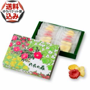 【ゆうパケットで配送】(送料込)六花の森 チョコレート チョコレート 北海道 お取り寄せ 贈り物 プチギフト ホワイトデー バレンタイン 母の日 父の日（TSB）