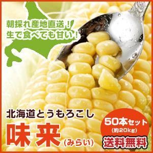 【送料無料】Ｒ6年度とうもろこし味来（みらい）50本セット（約20kg ）着日指定・同梱不可　８月１...