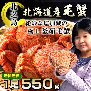 北海道産 極上 毛蟹 1尾 550g前後 海鮮ギフト 毛ガニ
