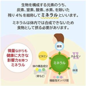 ミネラル 植物性 水 炭酸水 の商品一覧 ドリンク 水 お酒 食品 通販 Yahoo ショッピング