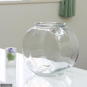 金魚 おしゃれ 水槽 太鼓鉢 その他水槽 の商品一覧 水槽 熱帯魚 アクアリウム用品 ペット用品 生き物 通販 Yahoo ショッピング