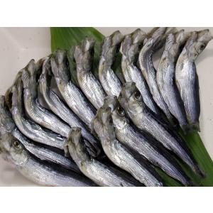 平子いわし一夜干