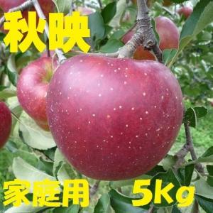【8月23日から予約販売開始！１０月上旬頃から順次発送予定！】長野産　秋映　家庭用　約5kg　10玉〜20玉　産地直送 減農薬栽培｜北信州のりんごやさん
