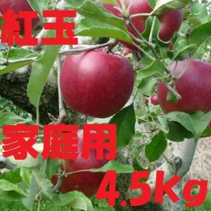 【9月7日より予約販売開始　10月上旬頃発送開始！】長野産　紅玉　家庭用　約4.5kg 産地直送　16玉〜28玉 減農薬　無化学肥料栽培