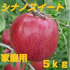 【９月7日から予約販売開始！発送は10月下旬頃の予定】長野産　シナノスイート　家庭用　約5kg　10玉〜20玉 産地直送　減農薬栽培