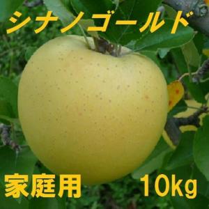 【９月14日から予約販売開始！発送は11月上旬頃の予定】信州産　シナノゴールド　家庭用　約10kg　24玉〜40玉　産地直送　減農薬栽培
