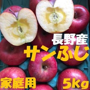 【ご注文日から1〜3営業日以内に発送！】長野産　サンふじ　家庭用　約5kg　10玉〜20玉　産地直送　減農薬栽培