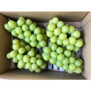 【8月16日から予約販売!9月下旬〜10月上旬...の詳細画像4