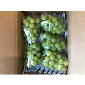 【8月16日から予約販売!9月下旬〜10月上旬...の詳細画像5
