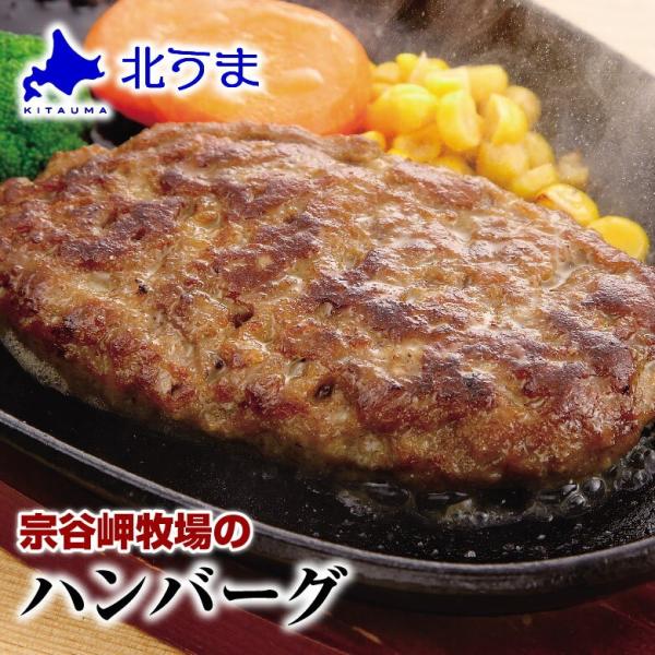 宗谷岬牧場のハンバーグ 120g×4個入り お試し