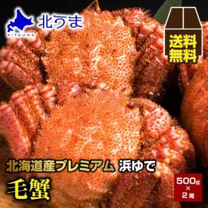 毛ガニ 1.0kg（500g×2）｜kitauma