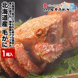 カニ かに 蟹 北海道産 毛がに 350g前後×1尾入  毛蟹 毛ガニ
