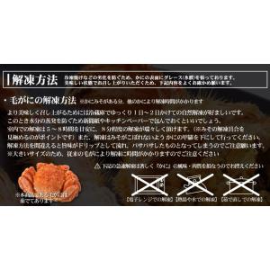 北海道産 毛ガニ 1尾当り 570g 前後 2...の詳細画像1