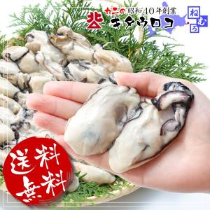 かき カキ 広島産 特大かき 1kg 【同梱推奨】