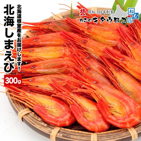 北海道 根室産 しまえび 300g (16尾から18尾前後入)  えび エビ 海老 爆買