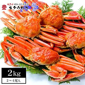 カニ かに 蟹 ズワイガニ ずわいがに 姿 2-4尾入 2kg 送料無料