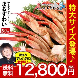 かに カニ 蟹 訳あり 特大 まるずわいがに 脚 5kg 12から16肩入 ズワイガニ お歳暮 ギフト
