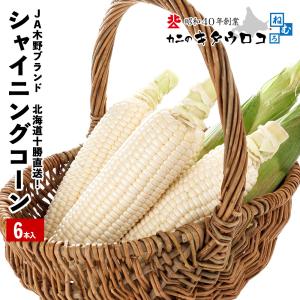 予約 早割 シャイニングコーン 6本入 送料無...の詳細画像1
