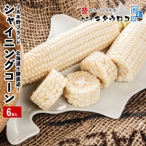 予約 早割 シャイニングコーン 6本入 送料無...の詳細画像2