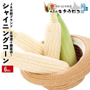 予約 早割 シャイニングコーン 6本入 送料無...の詳細画像3