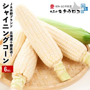 予約 早割 シャイニングコーン 6本入 送料無...の詳細画像4