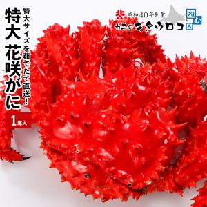 茹でたて直送！ 特大 花咲ガニ 1尾 800gから1kg かに カニ 蟹 花咲ガニ