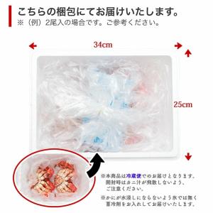 予約 カニ 花咲がに 花咲ガニ チルド 北海道...の詳細画像3