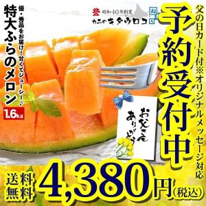 父の日 メロン 北海道 ふらのメロン1.6kg 1玉入 父の日カード対応