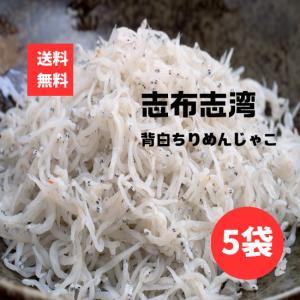 ちりめんじゃこ 楽天市場】ちりめんじゃこ 50g×2袋 訳あり 大小不揃い 無選別