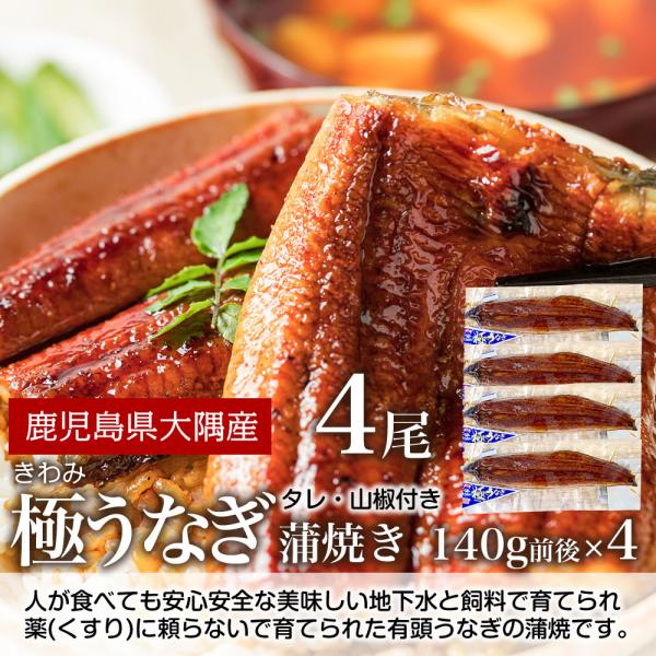 国産うなぎ蒲焼 140g前後×4尾 極みうなぎ ウナギ 鰻 鹿児島県大隅産 （送料無料）