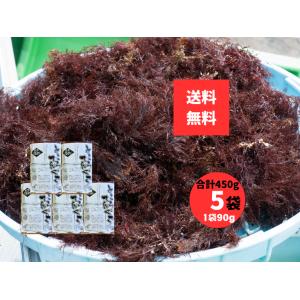 ところてんぐさ 長崎県産 天草 90g×5袋 合計450g 国産 天然 てんぐさ ところてんの素 手...