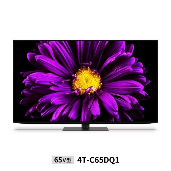 【関東・関西指定エリア送料無料】シャープ 4T-C65DQ1  65インチTV AQUOS  4K有...