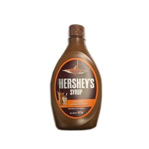HERSHEY'S チョコレートシロップボトル ハーシー / チョコシロップボトル623g: 砂糖・シロップ・蜂蜜 | 製菓