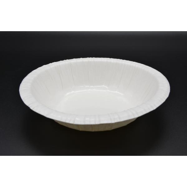フジペーパーボウル17cm(650ml)