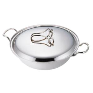 プロデンジ チリ鍋(18クロームモリブデン鋼) 21cm