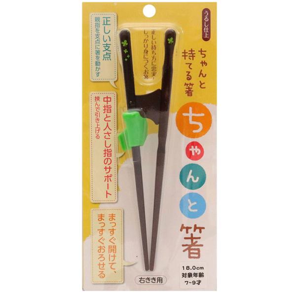 イシダ 矯正箸 ちゃんと箸 こども用 18cm 右利き 11413 お箸 矯正 子供 日本製