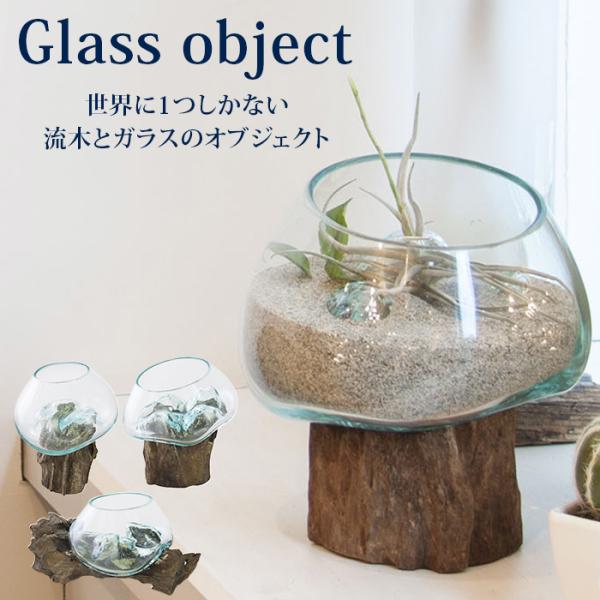 ガラス オブジェ TTZ-311 クリア インテリア 木 流木 雑貨 アクアリウム 水槽 小物入れ ...