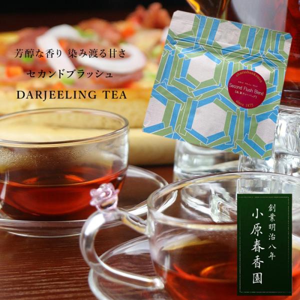 ダージリン セカンドブラッシュ 紅茶 ティーバック 小原春香園 セカンドブレンドダージリン ティーバ...