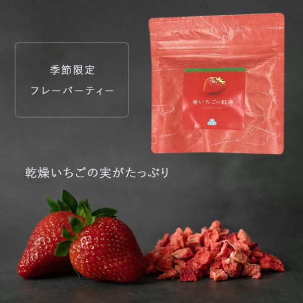 乾燥いちごの実がたっぷり 小原春香園 春いちご 紅茶 ティーバッグ フレーバーティー【4点までメール...