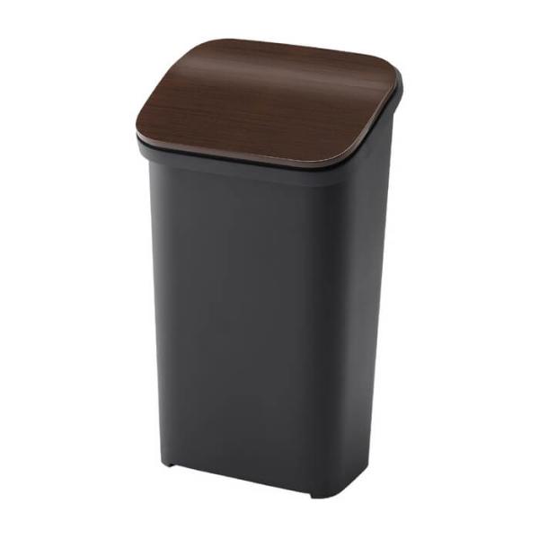 リス スムース プッシュダストボックス 20L ウッド GBBH016 ( ふた付き ) ゴミ箱 イ...