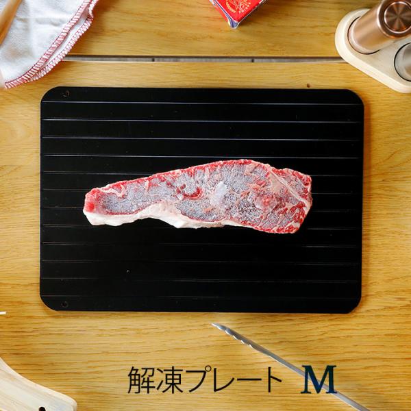 解凍プレート M アルミ製 atomico 解凍皿 シービージャパン 【1点までメール便送料無料】