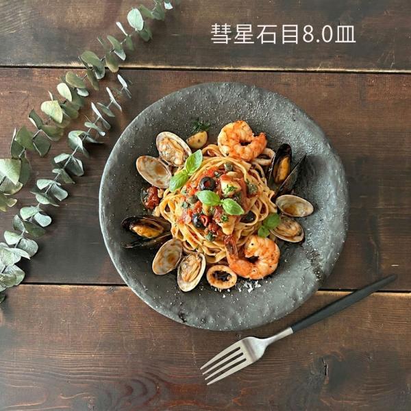 和食器 大皿 丸皿 彗星 石目 8.0皿 25cm プレート パスタ皿 ワンプレート おしゃれ 主菜...