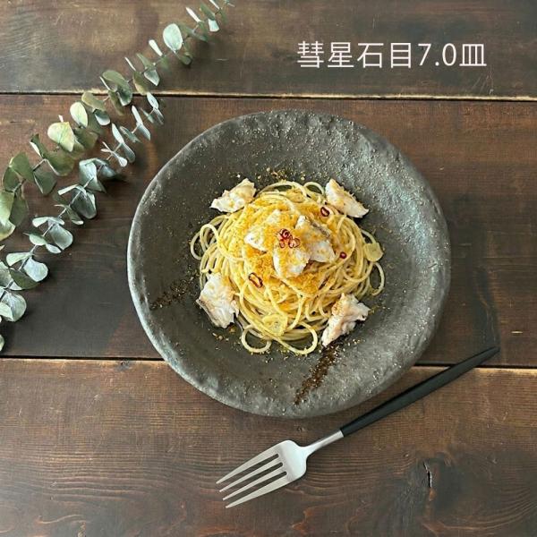 和食器 おしゃれ 丸皿 彗星 石目 7.0皿 22.5cm 中皿 パスタ皿 サラダ皿 主菜皿 プレー...