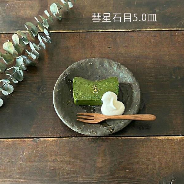 和食器 おしゃれ 小皿 彗星 石目 5.0皿 16.3cm 取皿 ケーキ皿 サラダ皿 副菜皿 プレー...