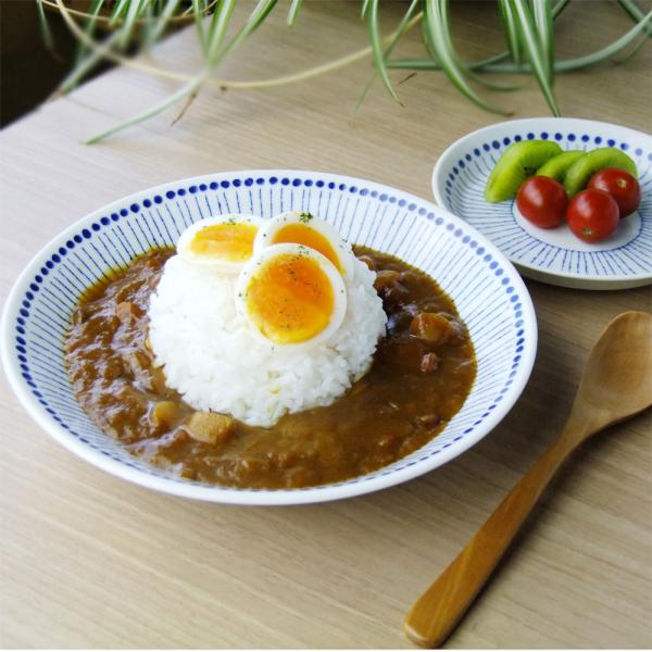 あおいうつわ はなび 6.3深皿 20cm カレー皿 パスタ皿 日本製 美濃焼 食器 おしゃれ 皿 ...