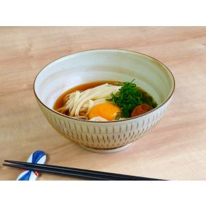 どんぶり 食器 おしゃれ 美濃民芸 さぬき丼 ...の詳細画像2